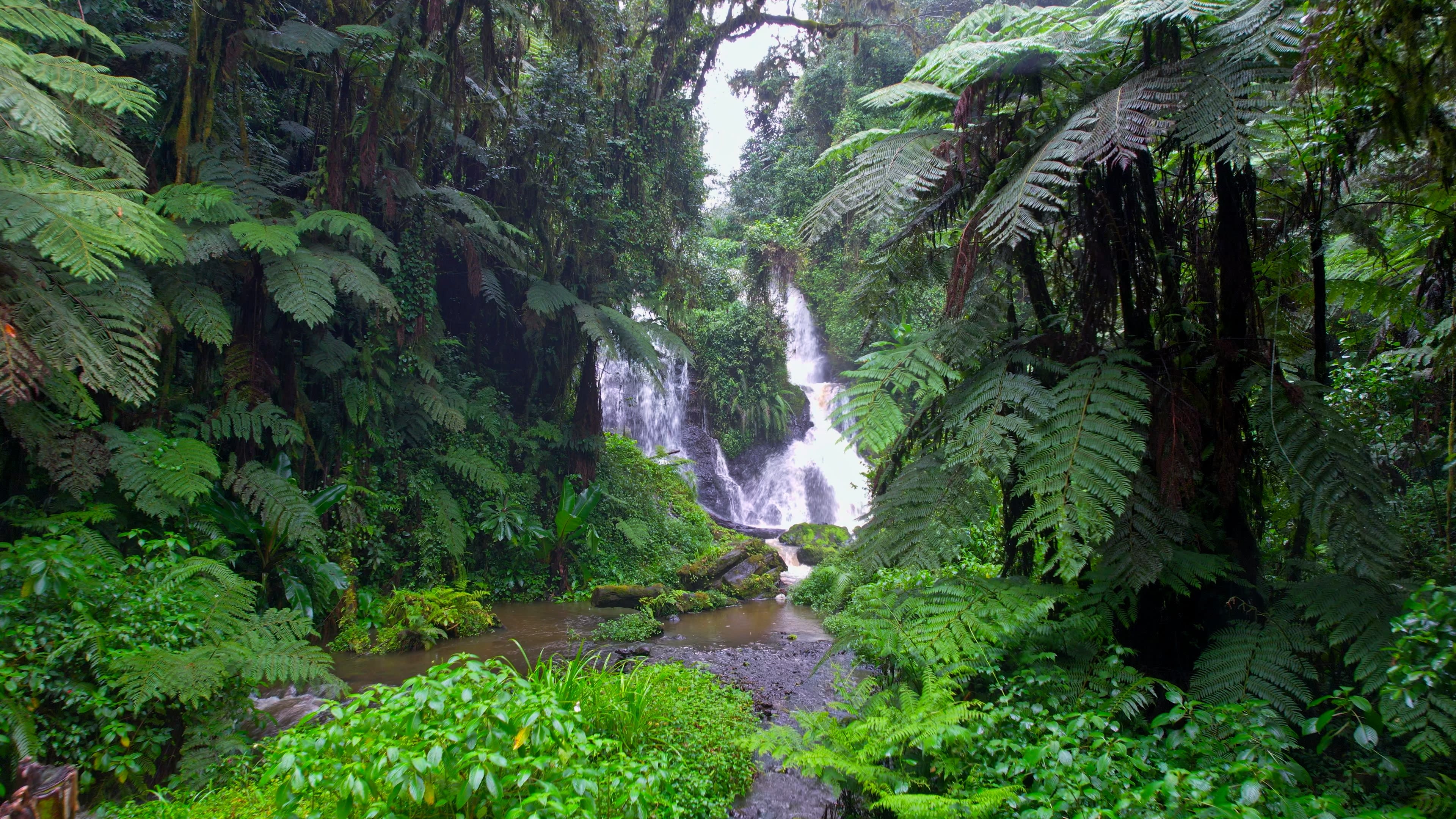 Natural Features